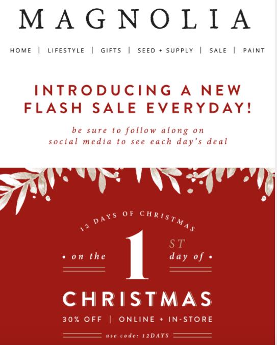 holiday email marketing example