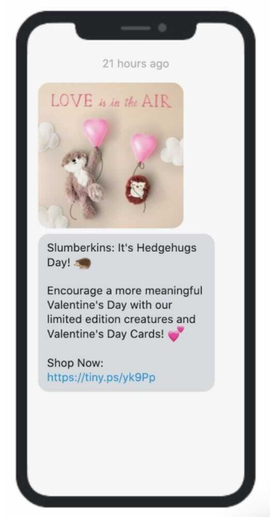 Sample Teaser Valentine's Day Email from Slumberkins