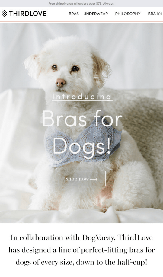 ThirdLove — Bras for Dogs