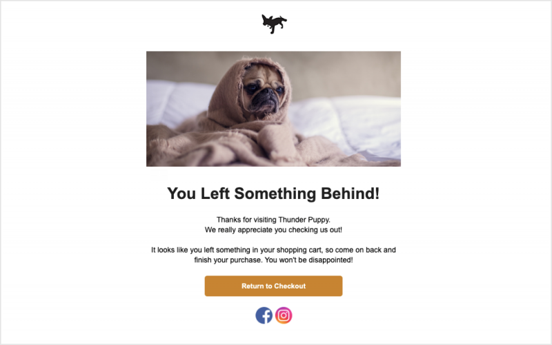 Cart Abandonment email design from dog adoption brand