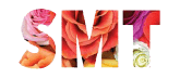 Logo Slides SMTArtboard 21_5-8