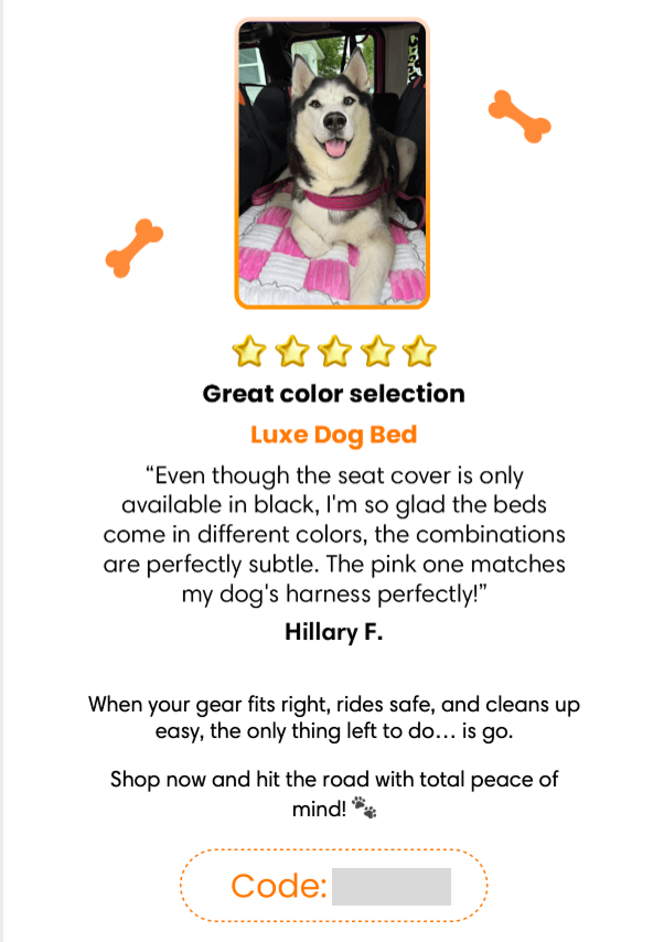 Objection buster email part 4, CTA without discount code