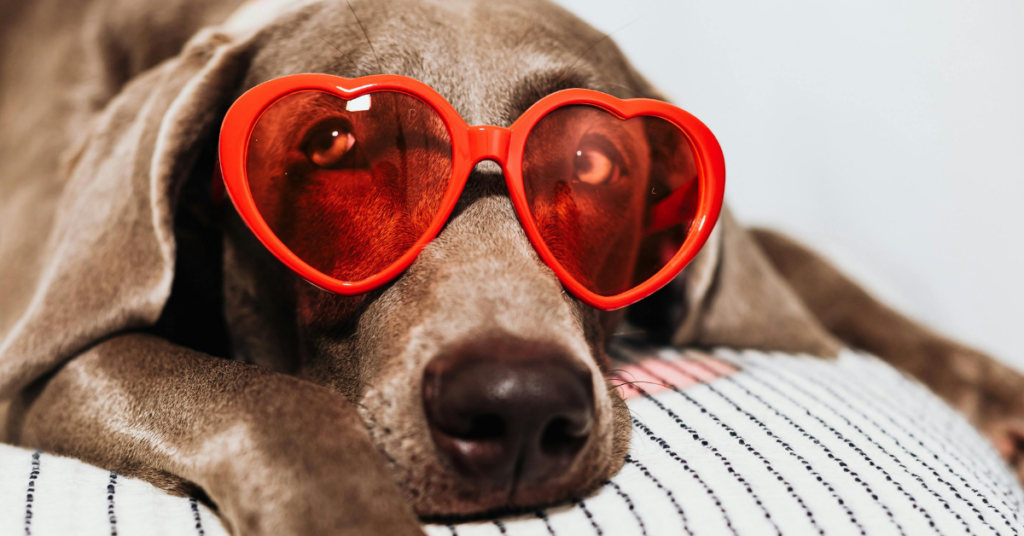 direct mail retention marketing