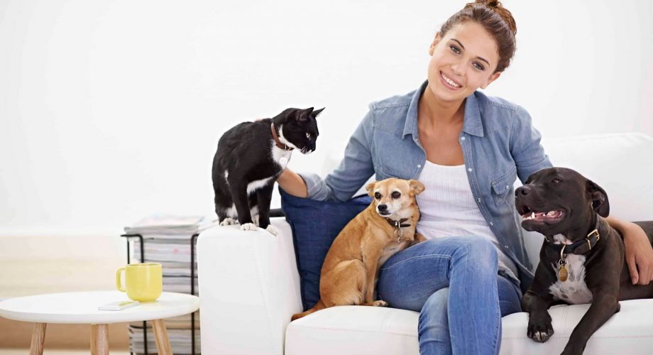 Discover how Pet Supplies Empire overcame email deliverability issues and achieved a 230% boost in engaged subscribers using Chronos Agency’s email marketing strategies Discover how Pet Supplies Empire overcame email deliverability issues and achieved a 230% boost in engaged subscribers using Chronos Agency’s email marketing strategies