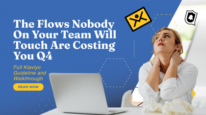 Chronos Agency guide to Klaviyo multi-branch splits, titled The Flows Nobody On Your Team Will Touch Are Costing You Q4